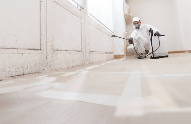 24/7 Emergency Mold Remediation experts in Walpole, MA