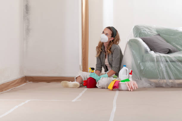 Reliable Mold Remediation contractor in Walpole, MA by Car Mold Remediation